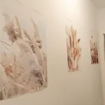 Edificio Alcazar Кордова