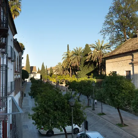 Appartement Edificio Alcazar *