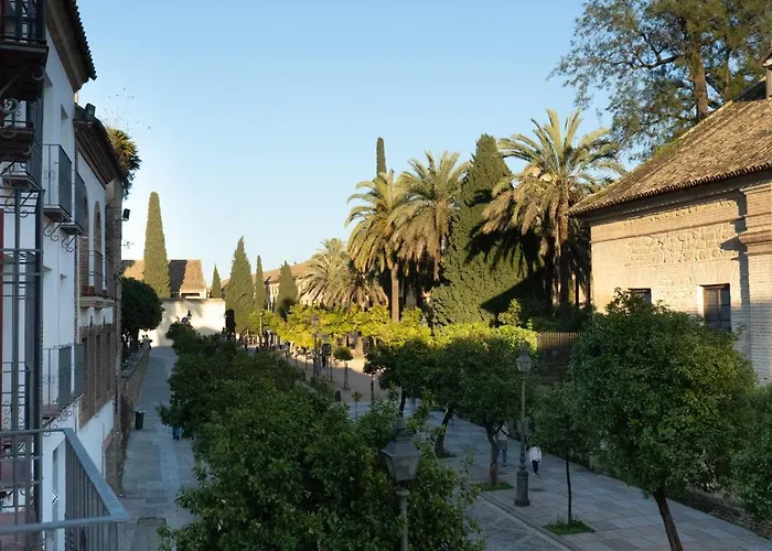 Apartamento Edificio Alcazar *